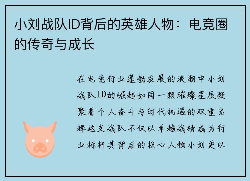 小刘战队ID背后的英雄人物：电竞圈的传奇与成长